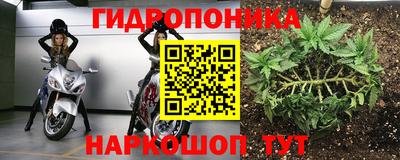 прущая мука Донецк