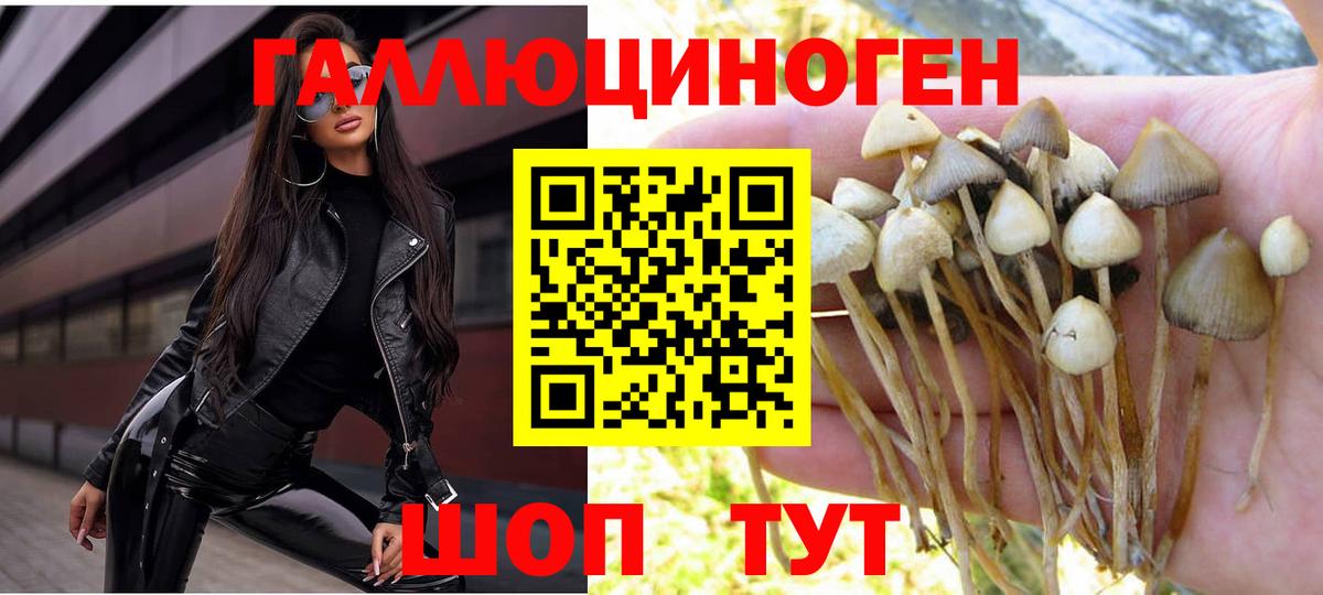 Мариинск  Галлюциногенные грибы Magic Shrooms  Вход с VPN 